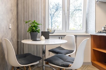 Cozy Kitchen Corner with Plant and Modern Furniture