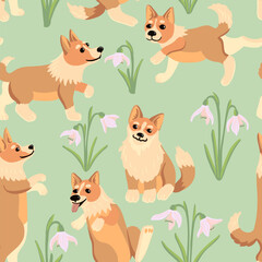 vector drawing seamless pattern with cute puppy, sitting little dogs, welsh corgi and spring flowers at mint green background, hand drawn illustration