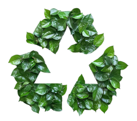 Recycling symbol made of green leaves, isolated on transparent cutout background