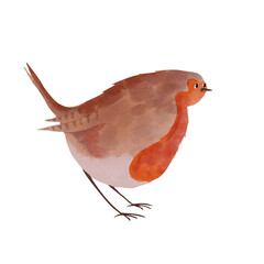 Hand-drawn illustration of a cute brown bird with a bright orange breast. Soft textures create a cozy, whimsical feel. Perfect for nursery decor, wildlife themes, and seasonal projects