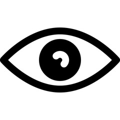 Eye Icon