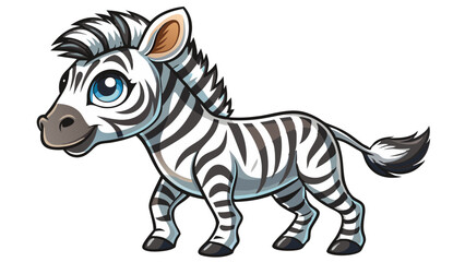 zebra isolated on white