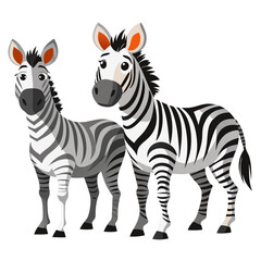 zebra vector illustration