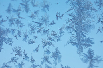 Close-Up of Delicate Frost Patterns on a Blue Glass Surface Capturing Winter's Intricate Art