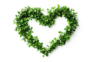 Heart-shaped wreath of greenery on white background