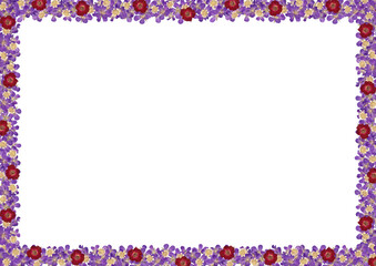 Horizontal frame with scanned real pressed wildflowers.