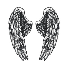 Hand drawn black angle bird's wings vector illustration