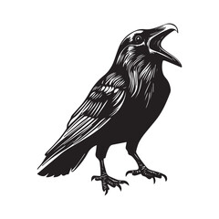 Hand drawn black raven crow vector illustration clipart