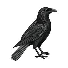 Obraz premium Hand drawn black raven crow vector illustration clipart