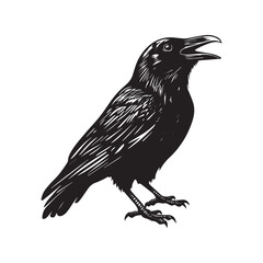 Fototapeta premium Hand drawn black raven crow vector illustration clipart