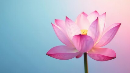 A Delicate Pink Lotus Flower in Soft Light Against a Pastel Background, Symbolizing Purity, Serenity, and Inner Peace