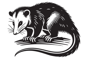 Opossum Silhouette Vector A Detailed Graphic for Wildlife Designs
