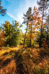 Liptov region Hiking in Tatras mountains to autumn cerenova rock view near Liptovsky Mikulas , slovakia.