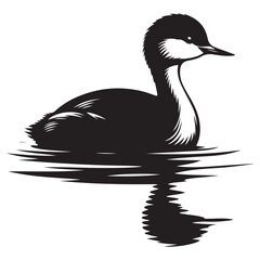 Elegant Grebe Bird Swimming Reflection Illustration A Serene Aquatic Scene