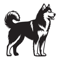 Detailed Alaskan Malamute Dog Vector Illustration Pet Breed Silhouette