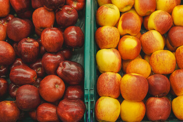 Two bins of apples, one red and one yellow. The apples are fresh and ripe, ready to be eaten.