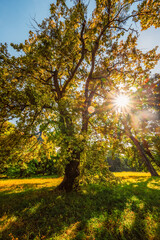 Obraz premium Lednice Chateau with beautiful gardens and parks. Lednice Valtice Landscape, South Moravian region. UNESCO World Heritage Site.