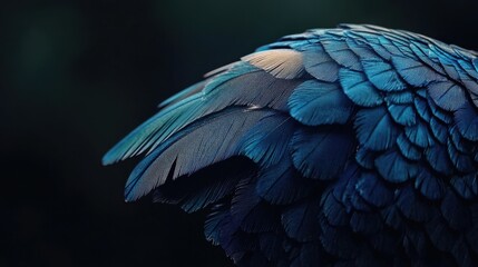 Obraz premium Close-up of a royal blue feather with soft, fine textures, catching light to reveal a mesmerizing gradient.
