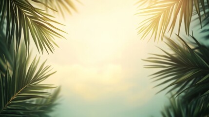 Obraz premium Sunlit tropical palm leaves creating natural border under soft sky
