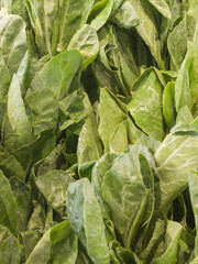 Stack of fresh kale in supermarket. Close-up of fresh green vegetarian food.