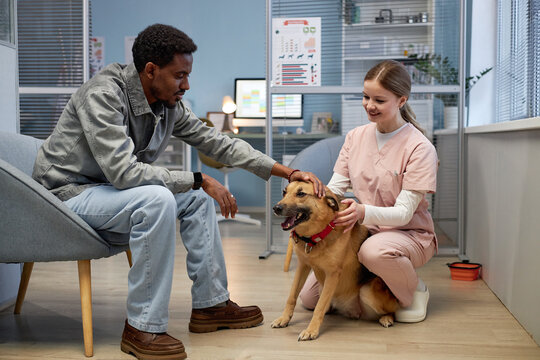 Full length shot of smiling female veterinarian cuddling with calm crossbreed dog sitting on floor, while greeting Black male client and pet patient in hall of vet clinic