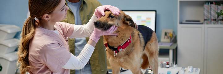 Website header shot of young female vet specialist examining eyes of large mixed breed dog obediently standing on table at animal clinic