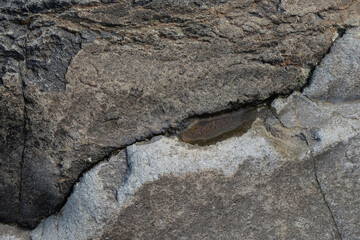 Remaining water on river rocks. Natural texture and pattern of the rock. For graphic design or banner background