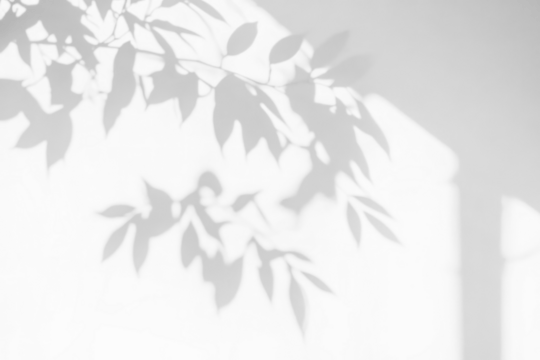 dark, solid transparency background with no visible details or patterns