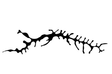 Ink drawing