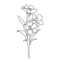 Lily Flowers Continuous One Line Vector Drawing. Flower Black Sketch Isolated on White Background. Blooming Design. Abstract Linear Flower Silhouette for Minimalist Drawing.