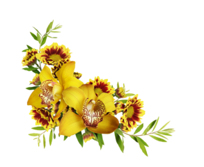 Two yellow orchid flowers and chrysanthemums in a corner floral arrangement isolated on a white or transparent background