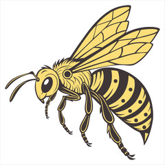  Honey bee on white background