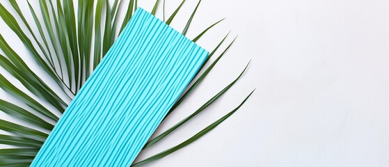 Fototapeta premium Blue Corrugated Card With Palm Leaf