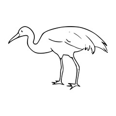 sketch of a heron on a white background