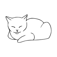 outline drawing of a cat