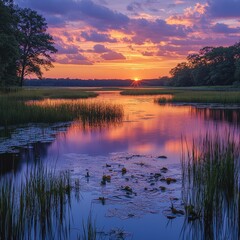 A breathtaking sunset casts vibrant hues of orange and pink across the tranquil lake, where delicate water lilies float gracefully. Silhouetted trees frame the scene, enhancing the serene beauty.