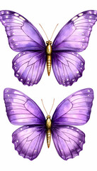 Obraz premium Purple Butterflies Watercolor Art
