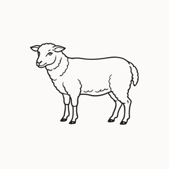 Wool sheep silhouette. sheep in graphic style, vector illustration drawn by hand. Vector illustration