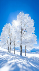 Snowy Trees, Sunny Winter Landscape