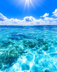 Obraz premium Tropical Ocean; Sunny Day; Clear Water