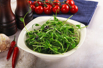Micro green plants for cooking