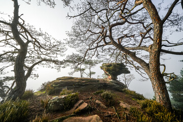 Fototapeta premium View of the Bänderfels near Erfweiler. Rock formation in the Palatinate with the surrounding landscape. Nature in the hiking area with red sandstone rocks. 