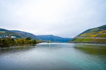 View of the Rhine and the surrounding nature in Bingen am Rhein.
