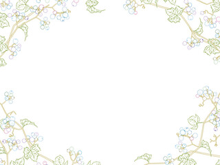 野ぶどうの線画フレーム②カラー