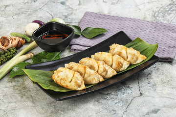Japanese cuisine - stuffed dumplings gyoza