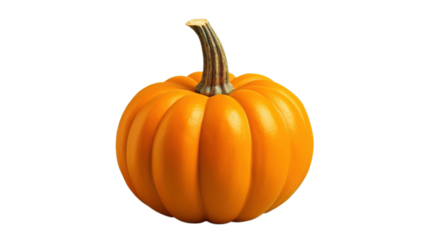 Cute Seasonal Pumpkin Isolated on PNG – Cozy Fall & Festive Charm
