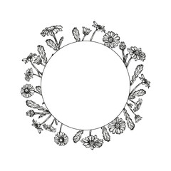 Daisy flowers wreath frame sketch outline illustration. Daisy flower spring botanical doodle drawing in engraving style. Hand drawn vector line art clipart