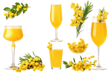 Bright yellow mimosa drinks arranged with fresh mimosa flowers on a white background