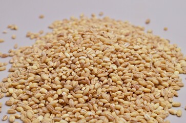 pearl barley close-up cereal porridge