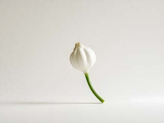 Obraz premium Garlic on a white background
